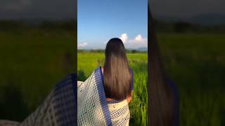 Sokujuri Sai Sai  Bihu song  Assamese New song 2024  assamesesong trnding [upl. by Nadnal]