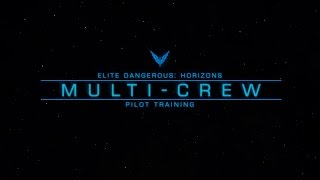 Pilot Training  Multicrew [upl. by Ellecrad]