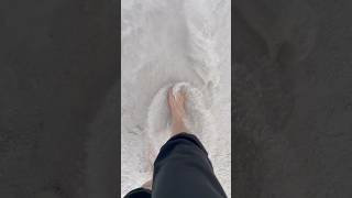 Is this the Squeakiest Sand in the world 🏝️ beach squeaky australia [upl. by Martijn]