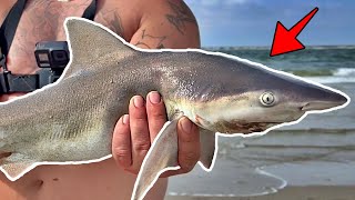 Outer Banks Surf Fishing for SHARKS [upl. by Nosemaj]