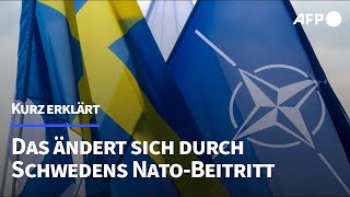 Kurz erklärt Das ändert sich durch eine NatoMitgliedschaft Schwedens  AFP [upl. by Nosoj]