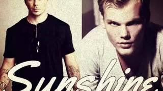 Avicii ft Pitbull amp One republic quot type beat quot  Sunshine  Prod By Sparobeatz  2014 [upl. by Merari]