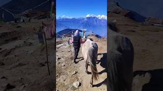 horse horseriding mountains lauribina nepalihorse gosaikunda gosaikundatrek [upl. by Animsaj956]