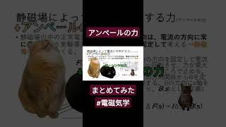 10秒電磁気学 茶番編 猫ミーム 猫ミームで学ぶ 物理 電磁気学 [upl. by Iuqcaj]