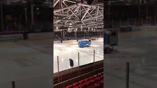 Tik Tok Eishockey 🏒 Eismaschine Eishockeyhalle 🇩🇪 shorts [upl. by Lledniw]