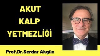 Akut kalp yetmezliği nedenleri Tıp Dersleri [upl. by Llereg534]