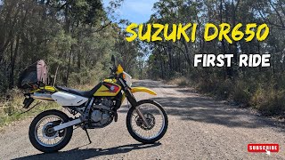 Cheap and cheerful DR650 First Ride [upl. by Dix87]