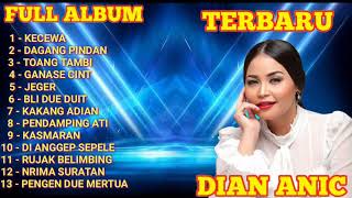 KECEWA‼️DIAN ANIC ‼️ FULL ALBUM ‼️ TERBARU [upl. by Meesak912]