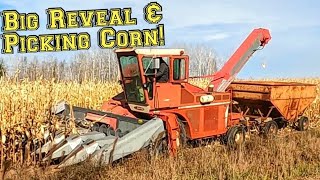 How Giant Agricultural Machines Harvest Millions Of Tons Of Fruits And Vegetables [upl. by Abisha944]