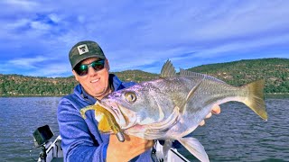 Flicking lures around Pittwater and the Hawkesbury river [upl. by Dutchman497]