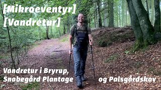 Vandretur ved Bryrup Snabegård Plantage og Palsgårdskov Mikroeventyr [upl. by Gilpin]