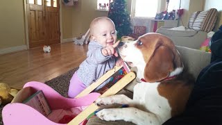 Gentle and Patient Dog Playing with Annoying Baby [upl. by Ellerahs]