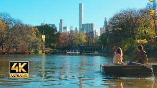 Peaceful Lake in Central Park 4K Screensaver to Relax and Unwind [upl. by Madora]