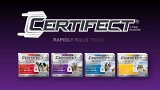 Certifect Flea and Tick SpotOn Treatment by Merial [upl. by Eide]