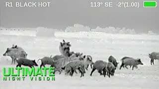 Wild Boar Hunting in Texas  40 Hogs Down with the Armasight Zeus Thermal Scope [upl. by Ahseirej989]