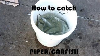 NZ Basic Fishing  Tutorial  How to catch PiperGarfish [upl. by Kirshbaum]