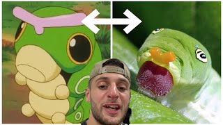 Caterpie In Real Life [upl. by Fadiman]