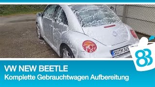 VW New Beetle  Komplette Gebrauchtwagen Aufbereitung  Den gebrauchten richtig waschen [upl. by Airdnekal]