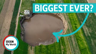 Sinkhole scares Five of the BIGGEST so far in 2021  BBC My World shorts [upl. by Eissirc]