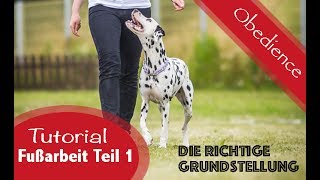 Aufbau der Fußarbeit  Teil 1  Die Grundstellung  Obedience Training  Tutorial [upl. by Marc94]