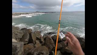 Fishing at Cabrillo beach in San Pedro [upl. by Nylodnarb262]