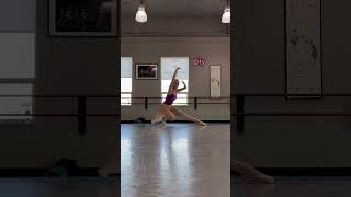 Tendu details balletclass dancestudio ballettips dance balletteacher yuliagagarina ballerinas [upl. by Heilman]