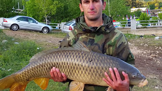 Peshkimi i krapit 15 kg në liqenin e Vermicës Carp Fishing 33 lbs [upl. by Ketchan]