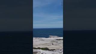 Cape Solander SydneyWhale watching spot 😊 [upl. by Ambros]