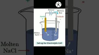 CATHODE and ANODE class 10 electrolytic cell chemistry chemistry [upl. by Llerrud843]