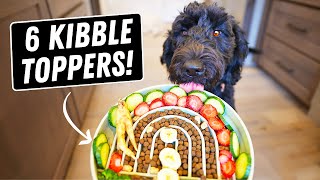 Human Foods Dogs SHOULD Eat 🐶 6 Best Kibble Toppers [upl. by Lebiralc]