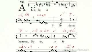 Alleluia Te decet hymnus [upl. by Hunt]