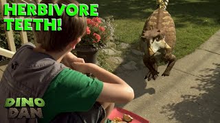 Looking at Herbivore Teeth  Best of Dino Dan Treks Adventures [upl. by Lessirg]