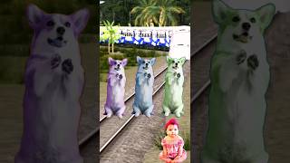 3 Cute dog standing on railway track vs cute baby stop the high speed train trendingshortsfeed [upl. by Vallie719]