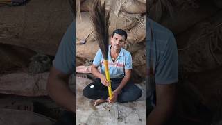 superjamboojhadu laxmibroomssticknk newbroom bestbroom jhadukabusiness trendingshorts viral [upl. by Aneehsar575]