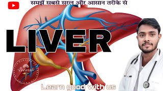 Liver anatomy and physiology  biliary system  important class for nursing RRB CHO And other exam [upl. by Mei]