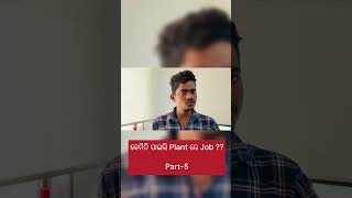 କେମିତି ପାଇଲି Plant ରେ Job Part 5 swapnaitwala plants plantjobs manufacturingplantjobs [upl. by Eemak]