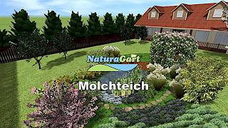 MolchTeich rechteckig  NaturTeich von NaturaGart [upl. by Yenttihw237]