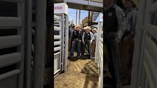 The cowboys of Xtreme Bulls rodeo cowboys bullriding rodeotime [upl. by Ahseyn]