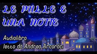 LE MILLE E UNA NOTTE  Parte 2  Audiolibro [upl. by Hesther627]