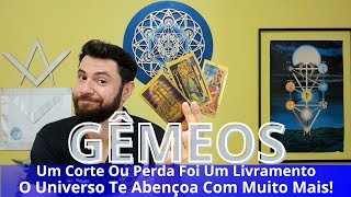 ♊GÊMEOSISSO SIM É LIVRAMENTO DOS GRANDES SUA ARVORE SERÁ PODADA PARA PODER DAR MAIS FRUTOS [upl. by Barret449]