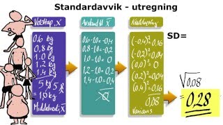 4 Standardavvik SD  teori og beregning [upl. by Lyred]