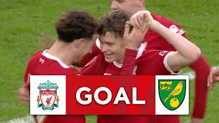 GOAL  Curtis Jones  Liverpool 10 Norwich City  Fourth Round  Emirates FA Cup 202324 [upl. by Vernon]