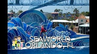 SeaWorld Acrobatics Trapeze Dolphin Shows  Orlando Florida [upl. by Nnylodnewg]