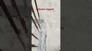 Column layout 1st floor by grid line method construction  Residential Building [upl. by Alywt132]