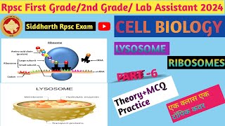 Cell Biology Lysosome and RibosomesRpsc first grade lab assistant exam top MCQ 2024 [upl. by Imarej]