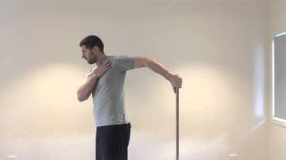 Biceps Brachii Stretch [upl. by Bert]