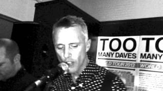 Too Many Daves  Nice Flowers and Fings Live in Dunedin 2013 [upl. by Ahsemed]