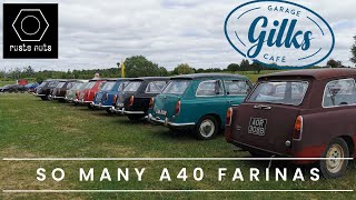 Classic Car Enthusiasts Unite Gilks amp Austin A40 Farina Meet [upl. by Carpet415]