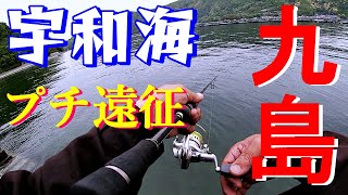 【遠征釣行】愛媛県の九島に釣りに行った！ [upl. by Nrojb]