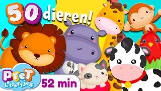 Pretlettertjes • Alle 50 Dierengeluiden • 52 min Special • Voor Baby Dreumes en Peuter • Nederlands [upl. by Etka]